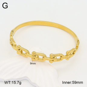 2BA201980vhha-355  Stainless Steel Bangle