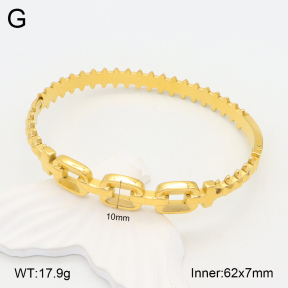 2BA201981vhha-355  Stainless Steel Bangle