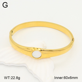 2BA300473ahjb-355  Stainless Steel Bangle