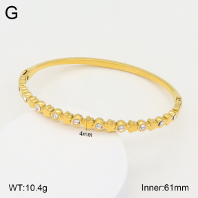 2BA402172bhia-355  Stainless Steel Bangle