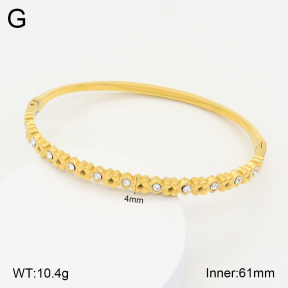 2BA402173bhia-355  Stainless Steel Bangle
