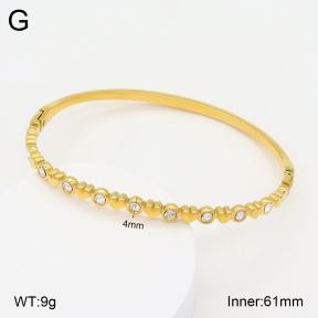 2BA402174bhia-355  Stainless Steel Bangle