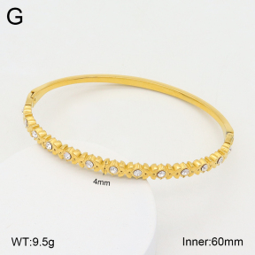 2BA402175bhia-355  Stainless Steel Bangle