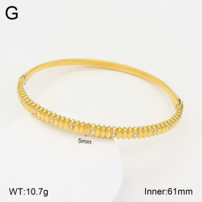 2BA402176bhia-355  Stainless Steel Bangle