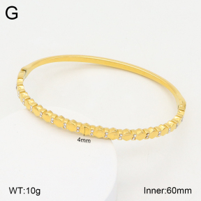 2BA402177bhia-355  Stainless Steel Bangle
