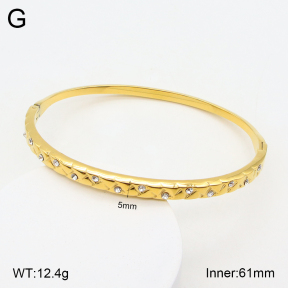 2BA402186bhia-355  Stainless Steel Bangle