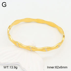 2BA402190bhia-355  Stainless Steel Bangle