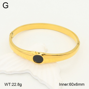 2BA402192ahjb-355  Stainless Steel Bangle