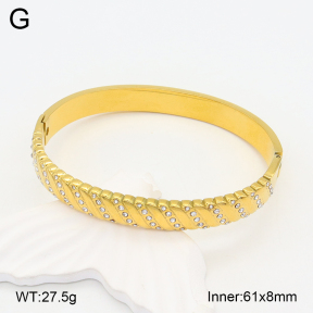 2BA402193ahjb-355  Stainless Steel Bangle