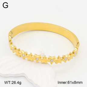 2BA402202bhia-355  Stainless Steel Bangle