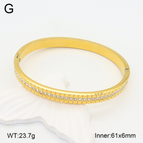 2BA402204bhia-355  Stainless Steel Bangle