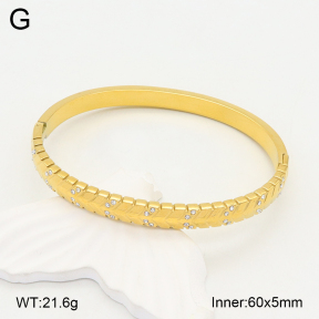 2BA402213bhia-355  Stainless Steel Bangle