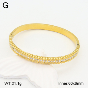 2BA402214bhia-355  Stainless Steel Bangle