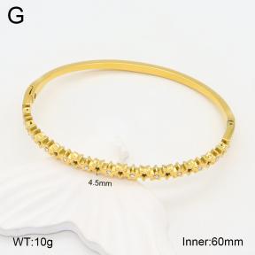 2BA402219bhia-355  Stainless Steel Bangle