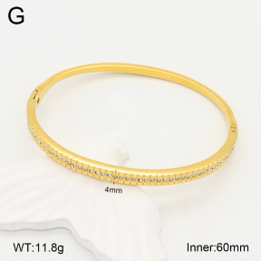 2BA402220bhia-355  Stainless Steel Bangle
