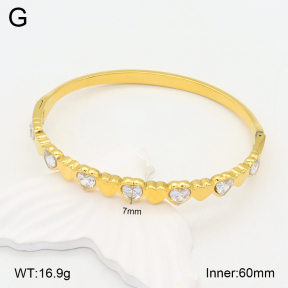 2BA402222bhia-355  Stainless Steel Bangle