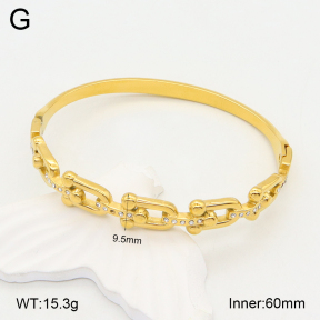 2BA402223ahjb-355  Stainless Steel Bangle