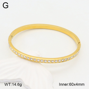 2BA402224bhia-355  Stainless Steel Bangle