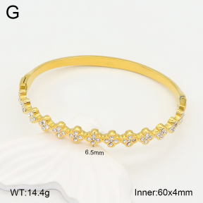 2BA402225bhia-355  Stainless Steel Bangle