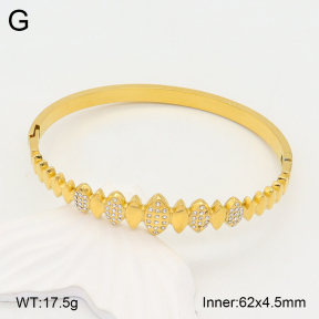 2BA402226bhia-355  Stainless Steel Bangle