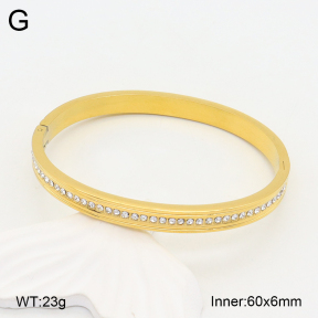 2BA402227bhia-355  Stainless Steel Bangle