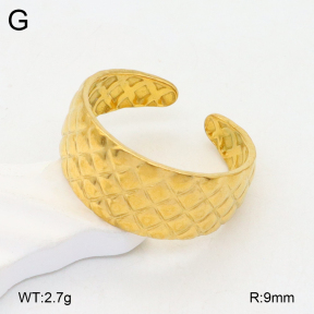 2R2001806vail-355  Stainless Steel Ring