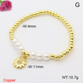 F6B406501ablb-L002  Fashion Copper Bracelet