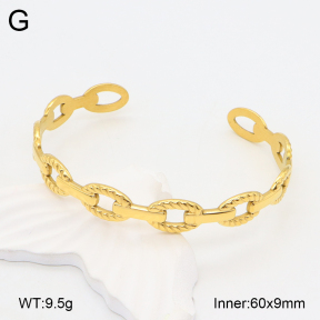 2BA201985bhva-669  Stainless Steel Bangle