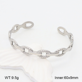 2BA201986vbpb-669  Stainless Steel Bangle