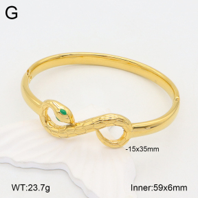 2BA300474ahjb-669  Stainless Steel Bangle