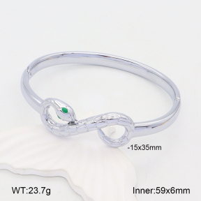 2BA300475bhia-669  Stainless Steel Bangle