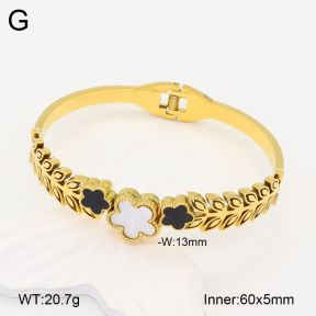 2BA300476bhia-669  Stainless Steel Bangle