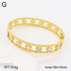 2BA402231vhhl-669  Stainless Steel Bangle