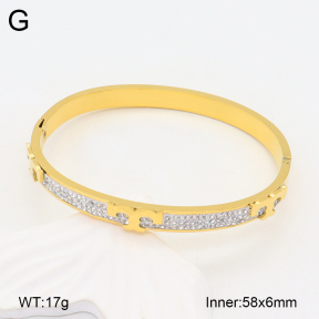 2BA402234ahjb-669  Stainless Steel Bangle