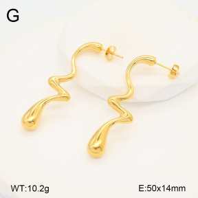 2E2005811bbml-436  Stainless Steel Earrings