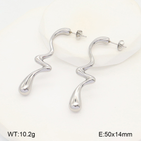 2E2005812vbll-436  Stainless Steel Earrings