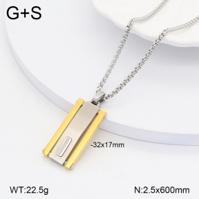 2N2005675vhmv-746  Stainless Steel Necklace