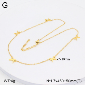 2N2005700abol-642  Stainless Steel Necklace