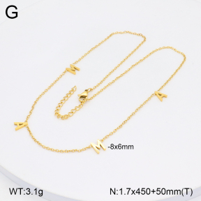 2N2005704abol-642  Stainless Steel Necklace