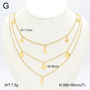 2N2005755vbpb-696  Stainless Steel Necklace