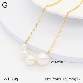 2N3002538baka-642  Stainless Steel Necklace