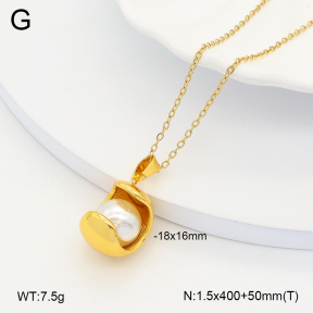 2N3002543ablb-696  Stainless Steel Necklace