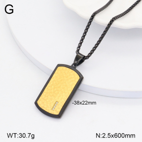 2N4004145aivb-746  Stainless Steel Necklace