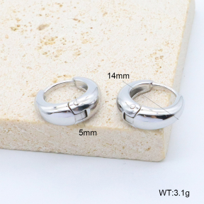 6E2007377bboj-209  Stainless Steel Earrings
