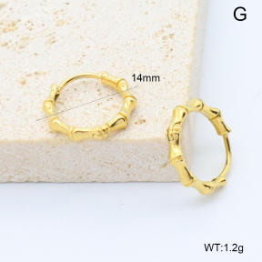 6E2007378bboi-209  Stainless Steel Earrings