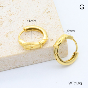 6E2007379bboi-209  Stainless Steel Earrings