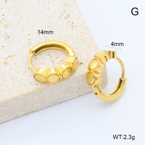 6E2007380abol-209  Stainless Steel Earrings