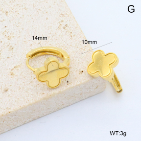 6E2007384abol-209  Stainless Steel Earrings
