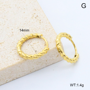 6E2007385bboi-209  Stainless Steel Earrings