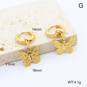 6E2007386bhim-209  Stainless Steel Earrings